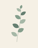 Eucalyptus Air — Botanical Digital Art — clean vector edition printable up to 40 inches