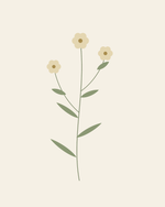 Meadow Stem — Botanical Digital Art — clean vector edition printable up to 40 inches