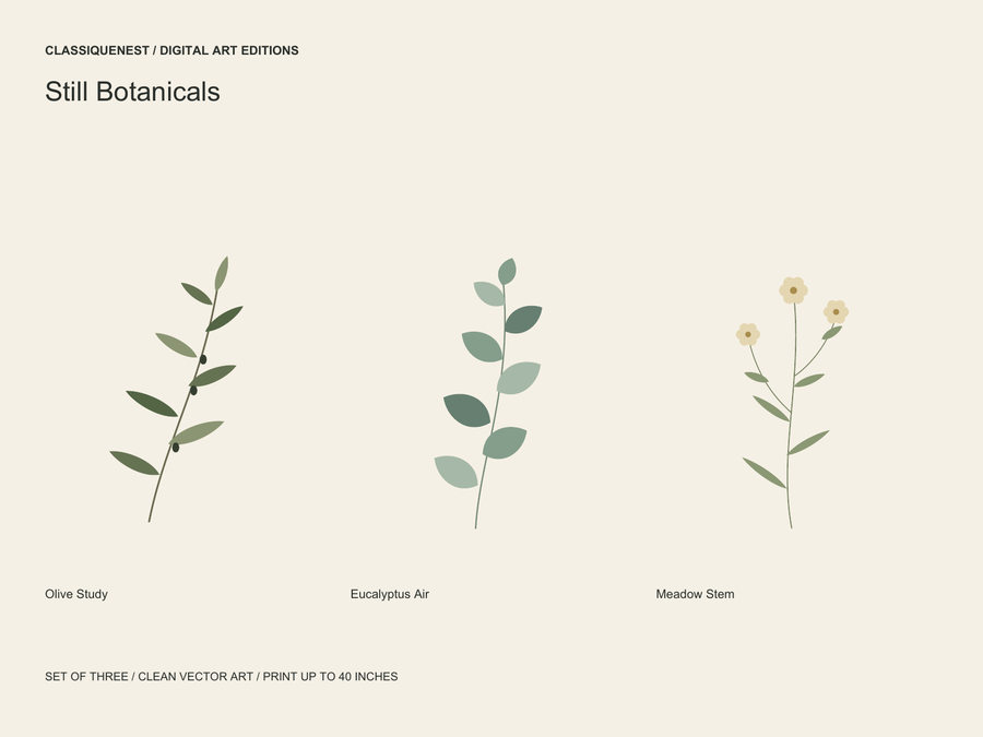 Still Botanicals — Set of 3 Digital Art Prints — clean vector edition printable up to 40 inches
